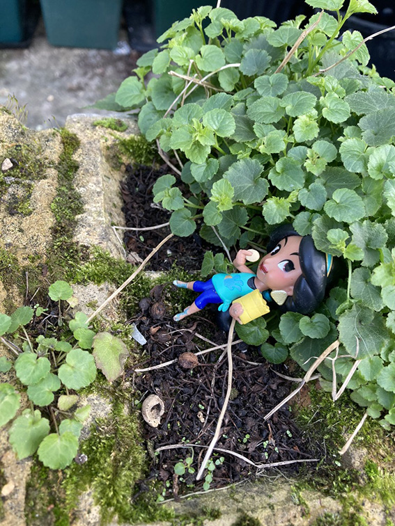 小さい人発見！